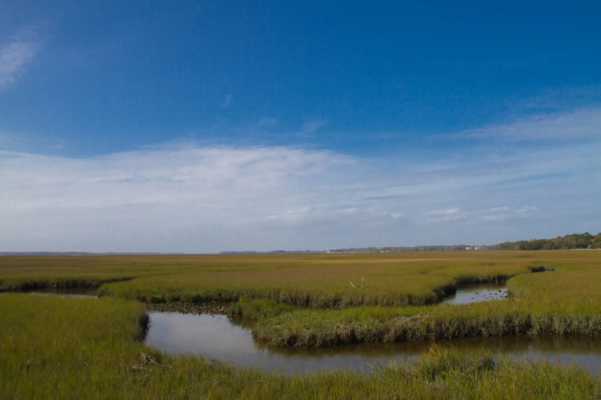 Marches in Amelia Island, Florida, United States.