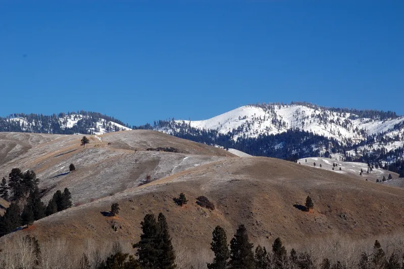 Along the Nez Perce National Historic Trail,  near Darby, Montana.  US Forest Service photo, by Roger Peterson