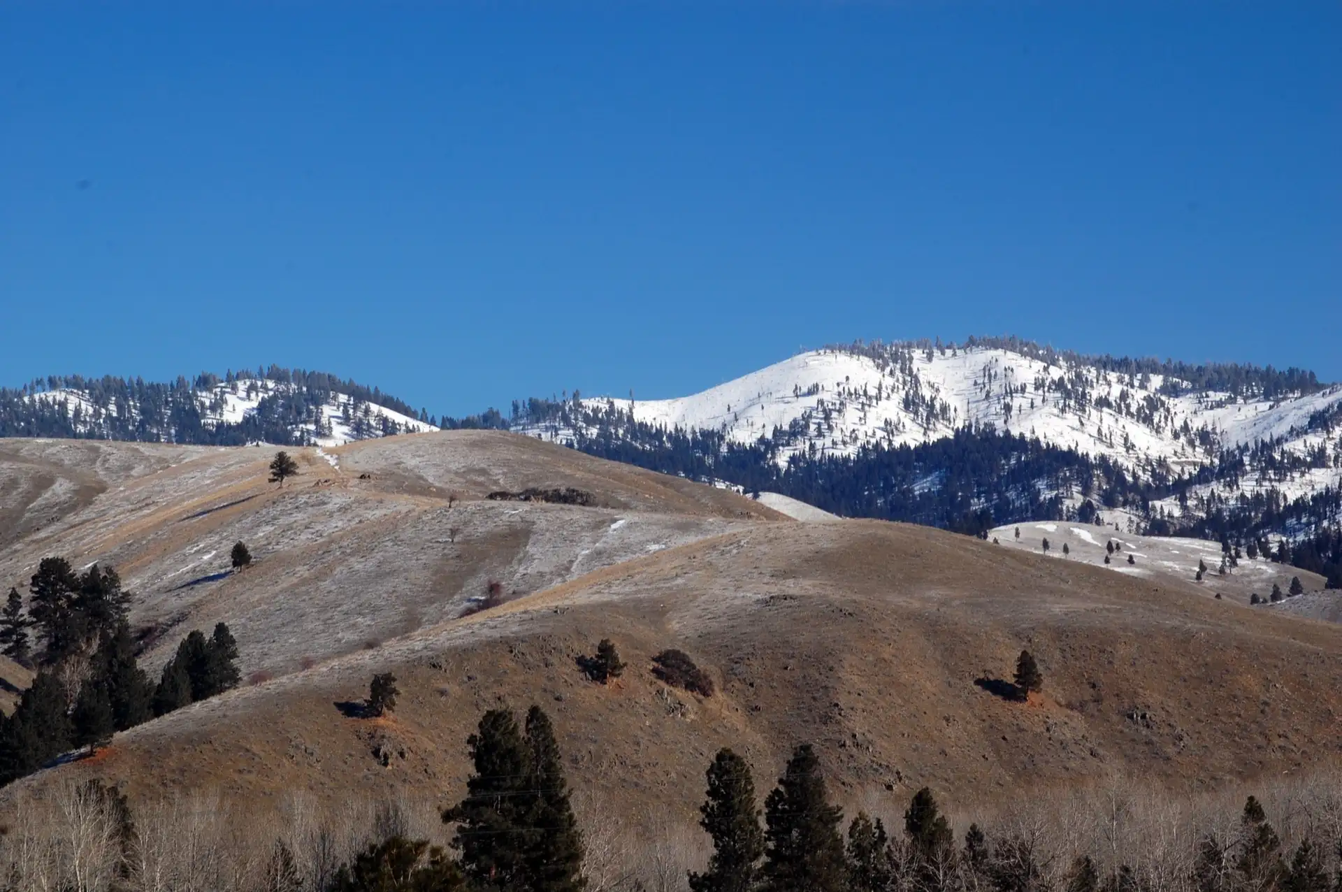 Along the Nez Perce National Historic Trail, near Darby, Montana. US Forest Service photo, by Roger Peterson