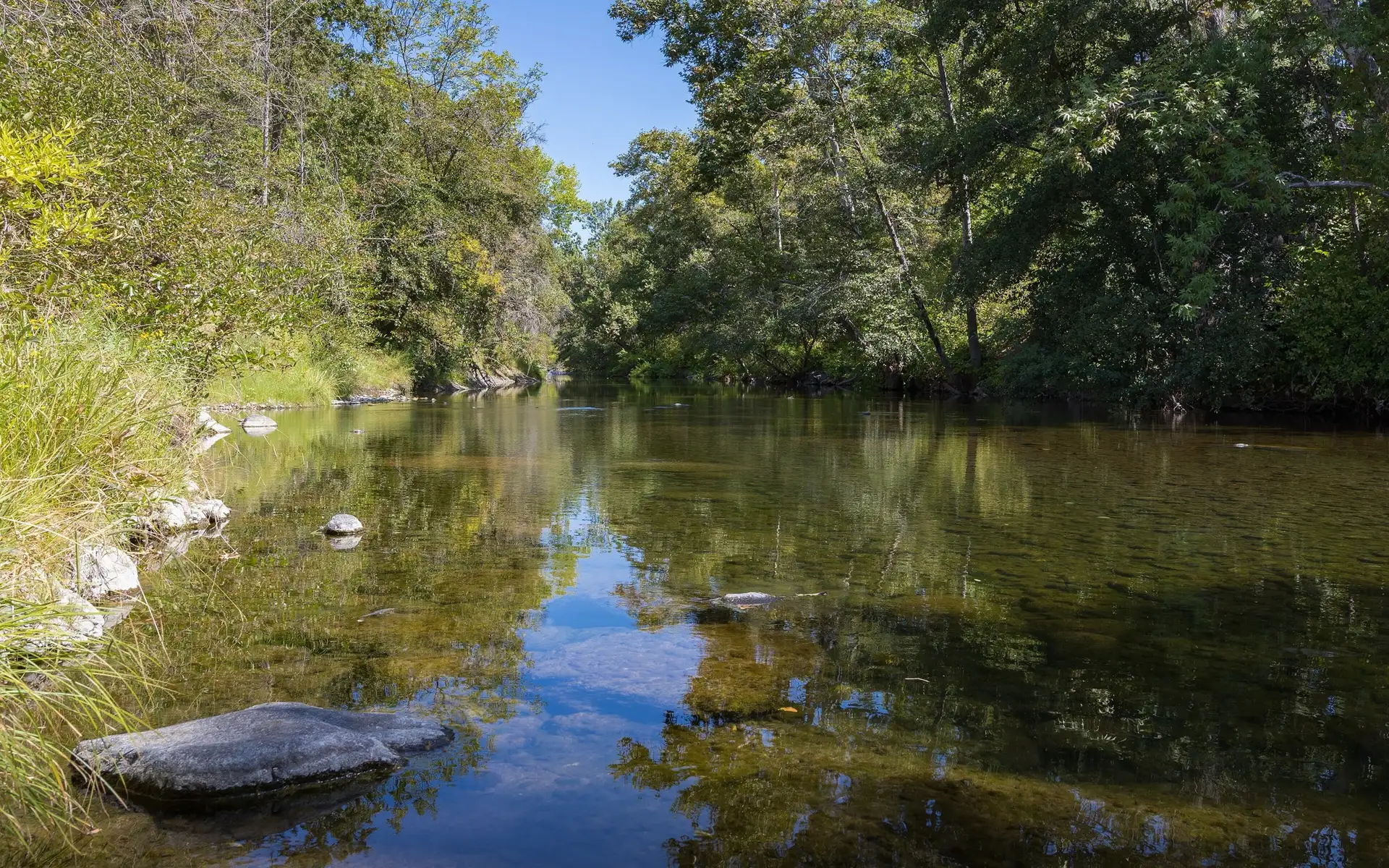 Big Chico Creek in Upper Bidwell Park, Chico, California, close to the Yahi Trail