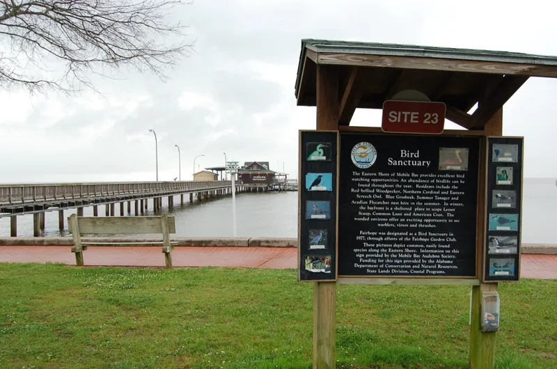 Alabama's Coastal Connection - About the Bird Sanctuary by Fairhope Pier - NARA - 7716818