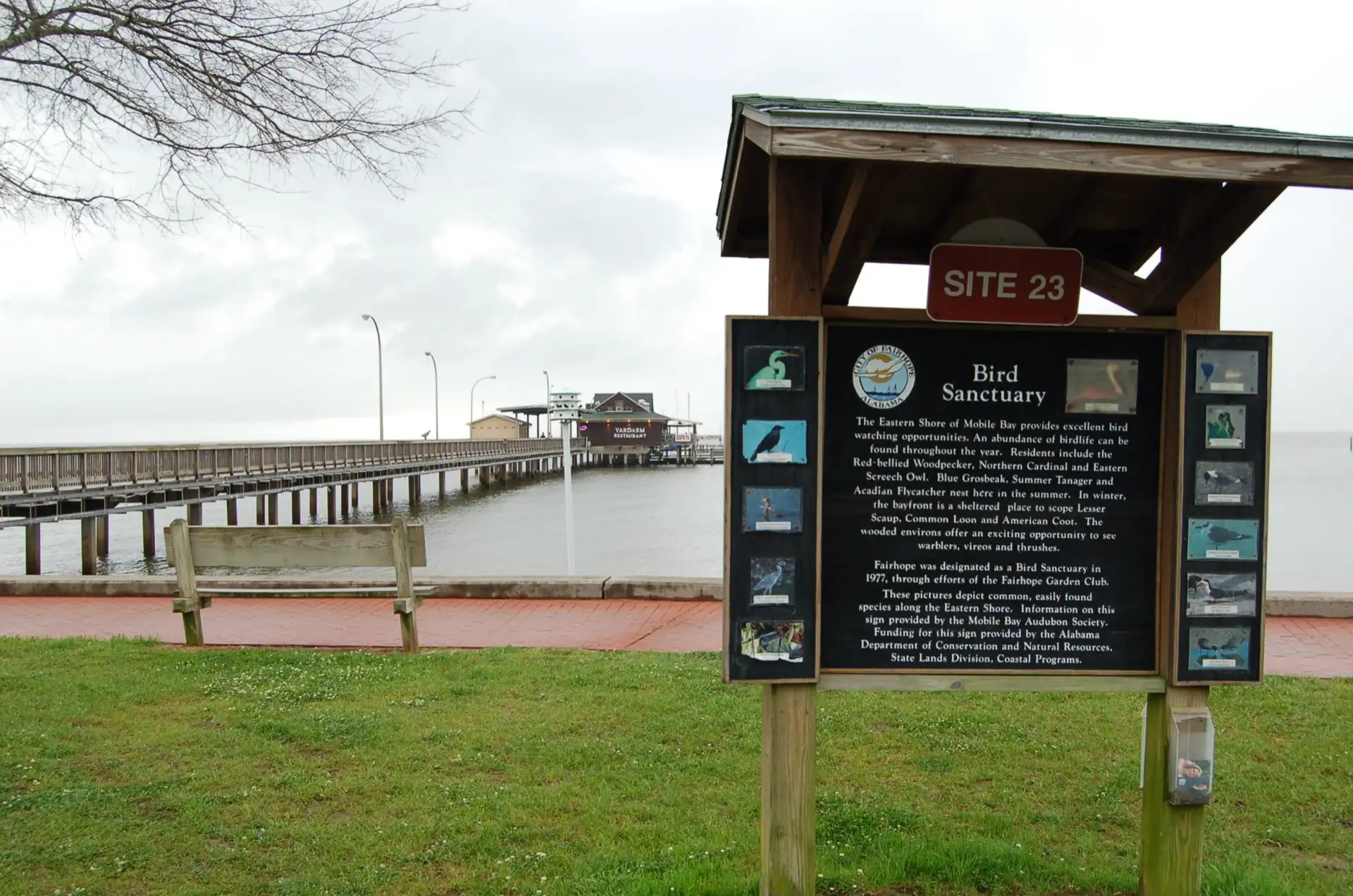 Alabama's Coastal Connection - About the Bird Sanctuary by Fairhope Pier - NARA - 7716818
