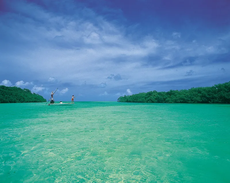 Florida Keys Scenic Highway - Flats Fishing near Islamorada - NARA - 7718440