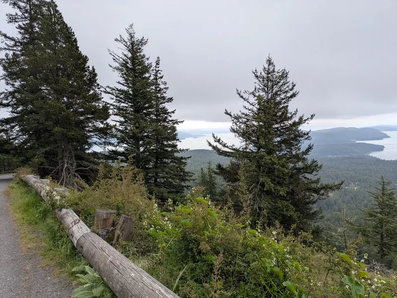 Mount Constitution, Orcas Island (56349)