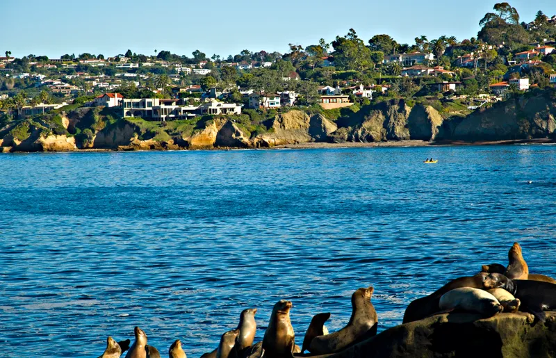 La Jolla Shores CA view. Sea lions in the foreground. Pacific Ocean Dec 2011 California Beach