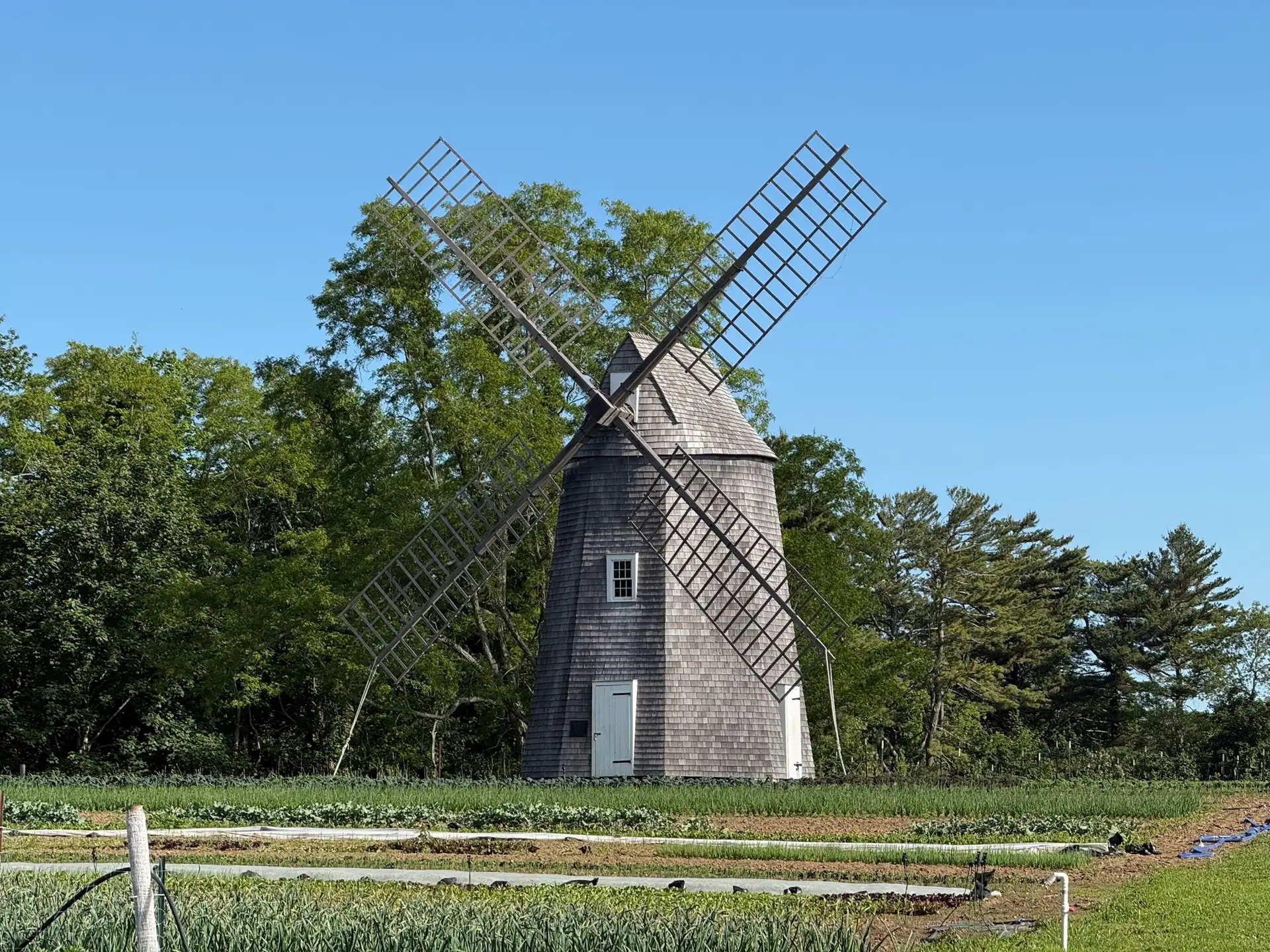 Shelter Island Windmill in June 2026