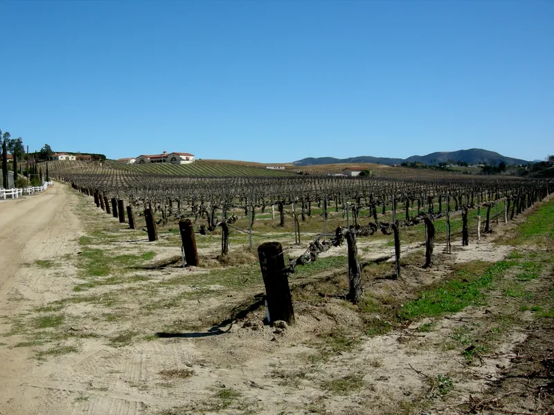 Temecula Valley Southern California Wine Country in Winter