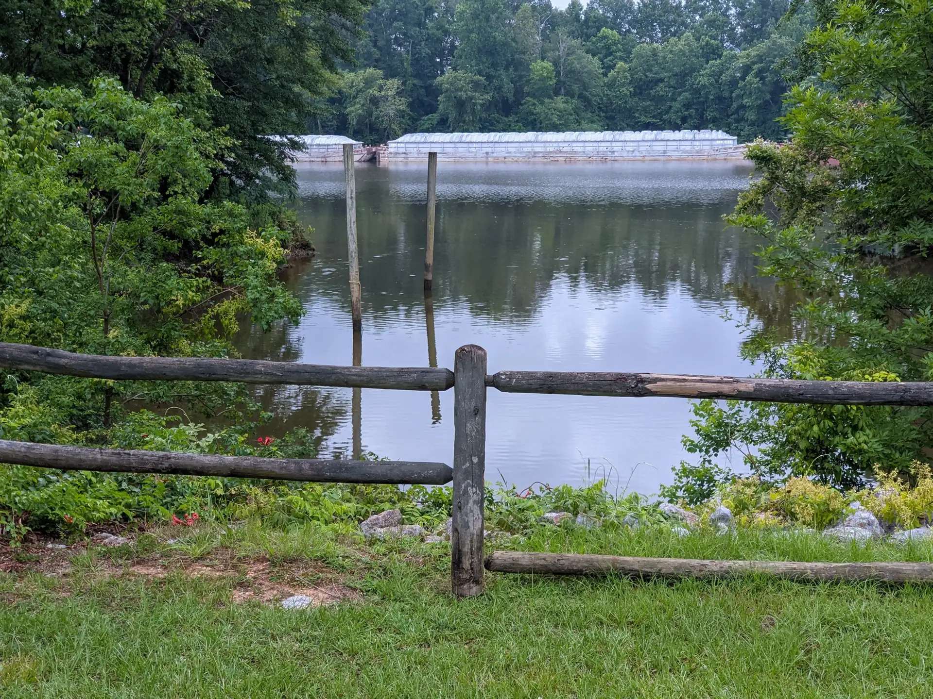 Tuscaloosa, Alabama, July 2021