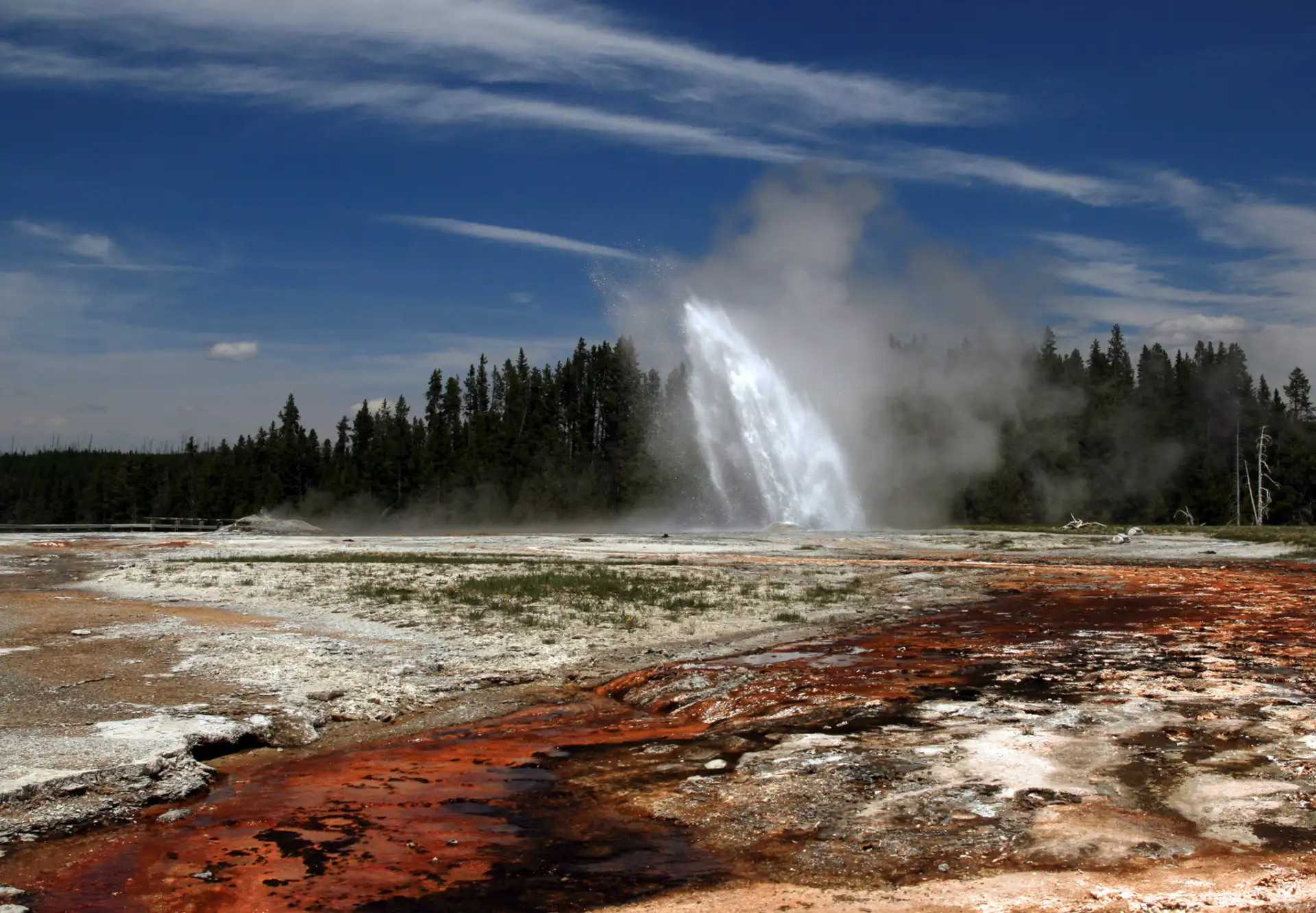 Daisy Geyser erupting in Yellowstone National Park
